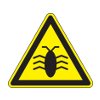 software bug