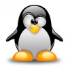 Los puertos más importantes en sistemas Linux