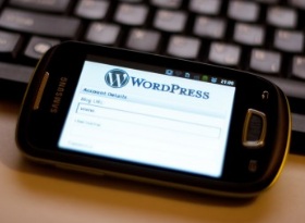 WordPress el favorito de los políticos WordPress el favorito de los políticos