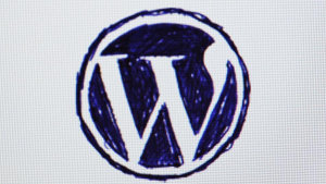 Blogs de WordPress corren peligro Blogs de WordPress corren peligro