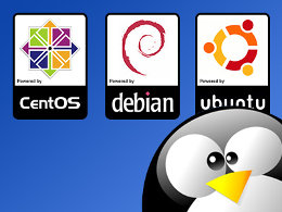Las distros más usadas en servidores Linux